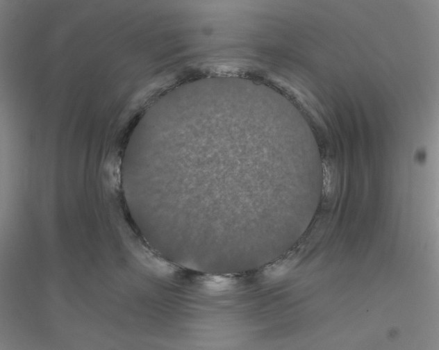 X0000116870718201002021127