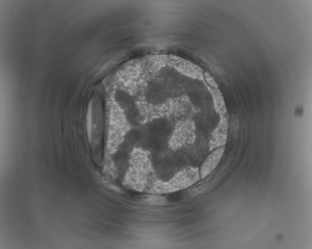 X0000116870719201002021127
