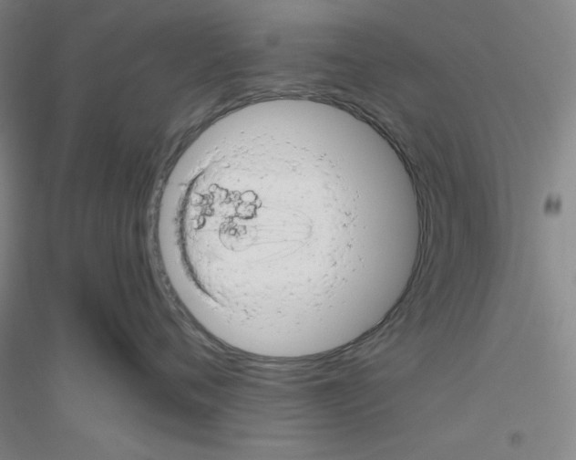 X0000116870720201002021127