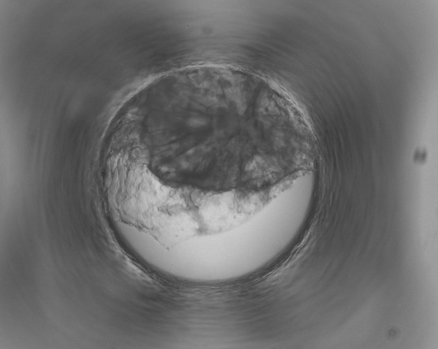 X0000116870721201002021126