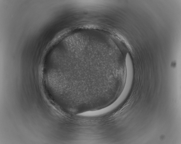 X0000116870722201002021126