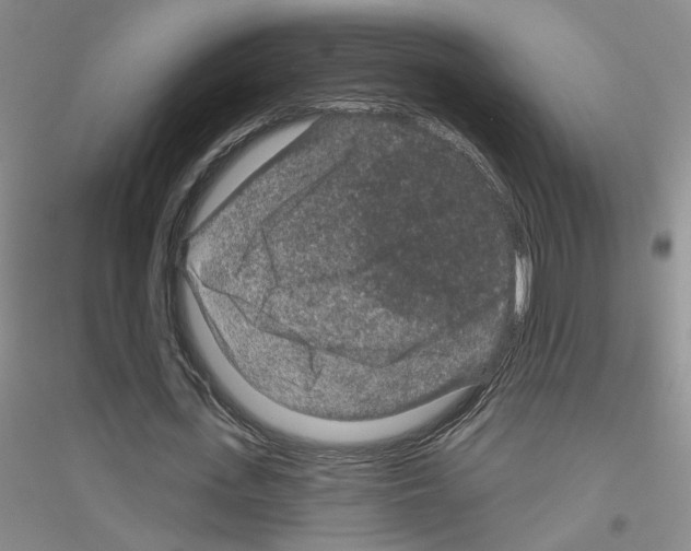 X0000116870723201002021126