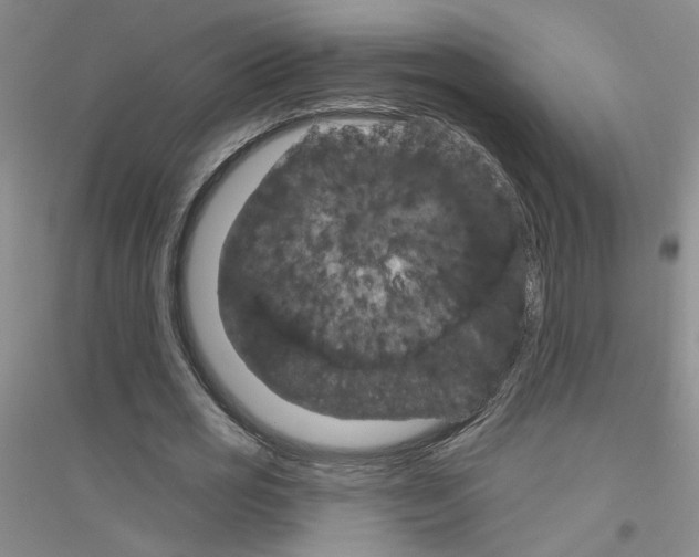 X0000116870725201002021126
