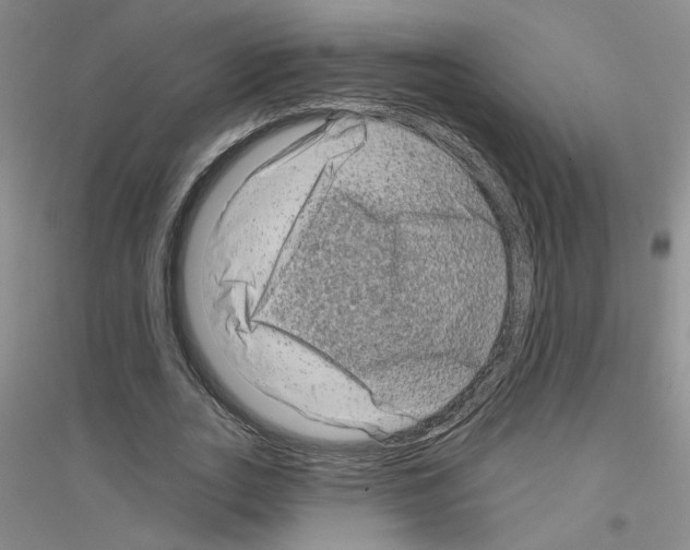X0000116870727201002021126