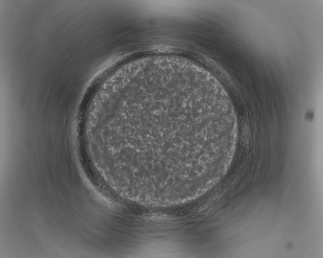 X0000116870730201002021126
