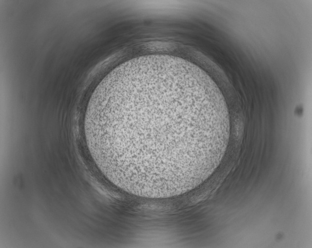 X0000116870733201002021127