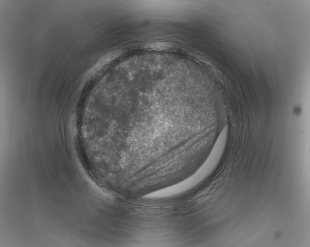 X0000116870734201002021127