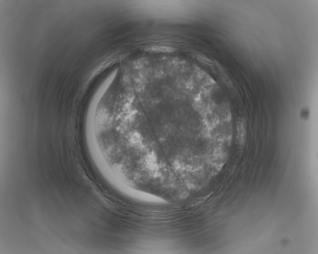 X0000116870735201002021127