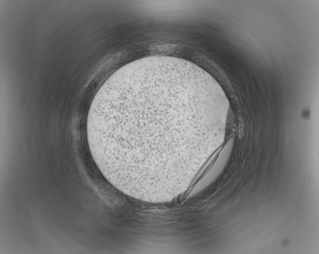 X0000116870738201002021127