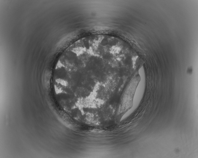 X0000116870742201002021127