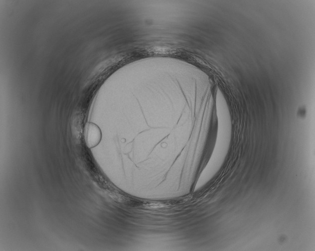 X0000116870746201002021127