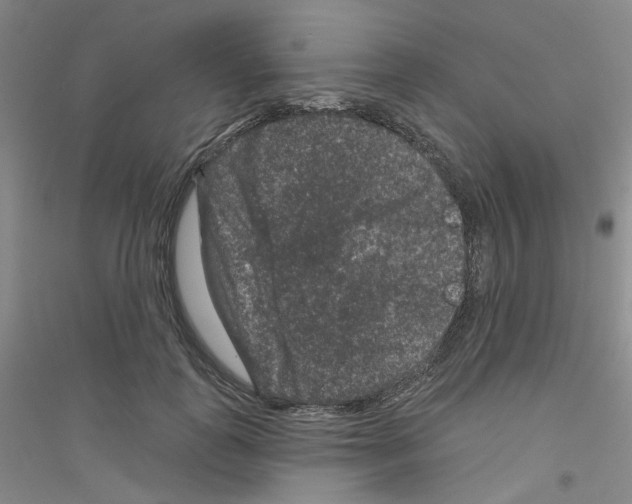 X0000116870747201002021127
