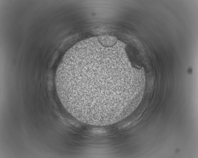 X0000116870749201002021127