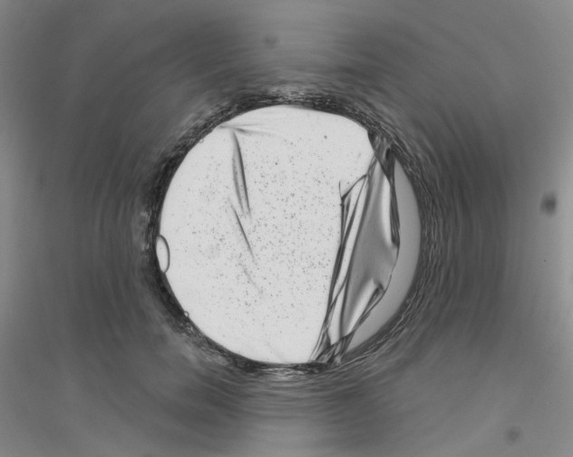 X0000116870750201002021127