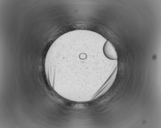 X0000116870751201002021127