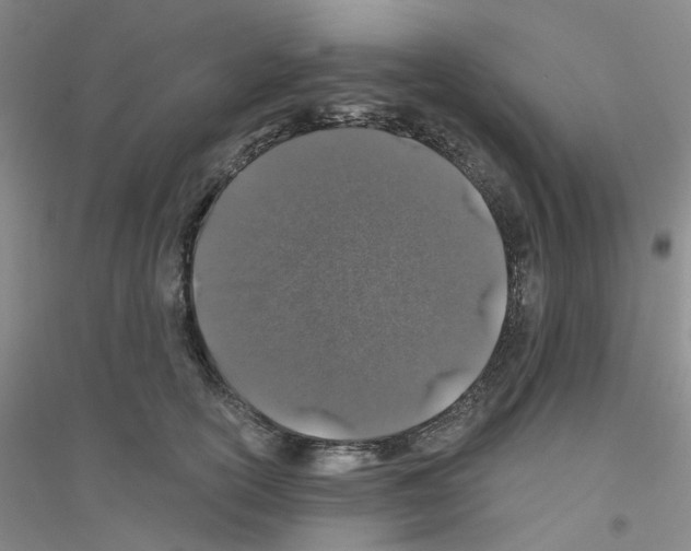 X0000116870754201002021127