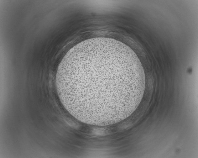 X0000116870757201002021127