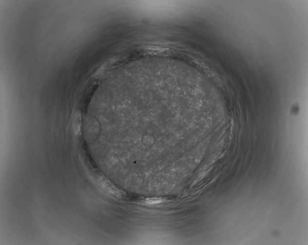 X0000116870758201002021127