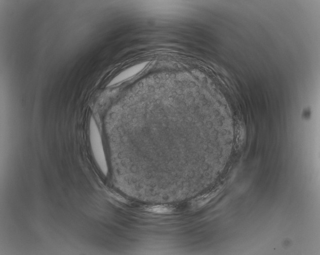 X0000116870759201002021127