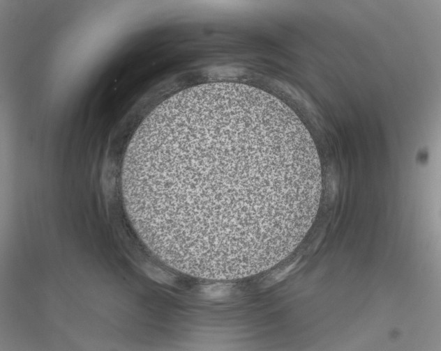 X0000116870761201002021127