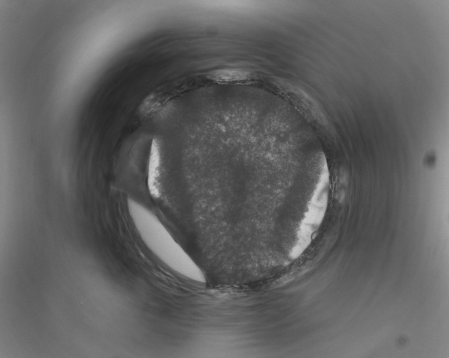 X0000116870763201002021127