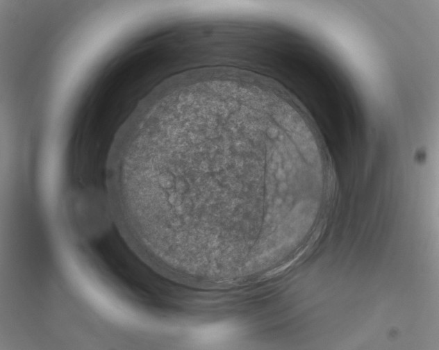 X0000116870765201002021127