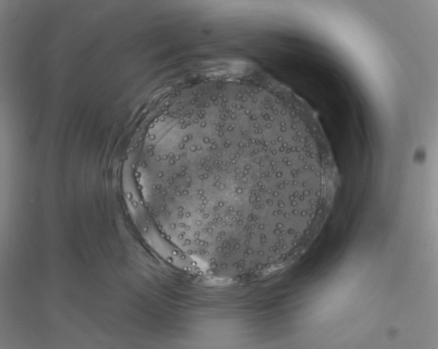 X0000116870767201002021127