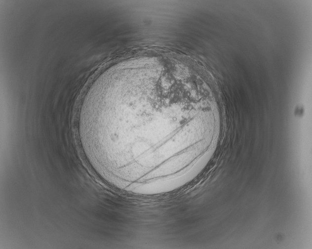 X0000116870769201002021126