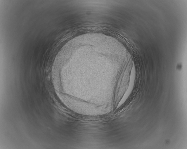 X0000116870770201002021126