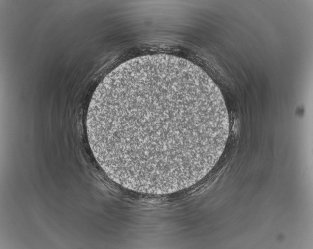 X0000116870771201002021126