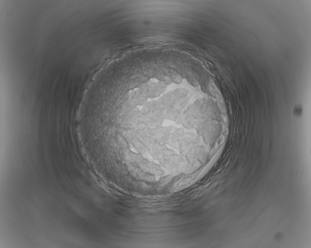 X0000116870772201002021126