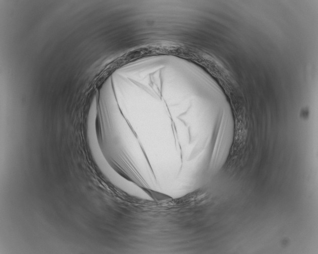 X0000116870773201002021126