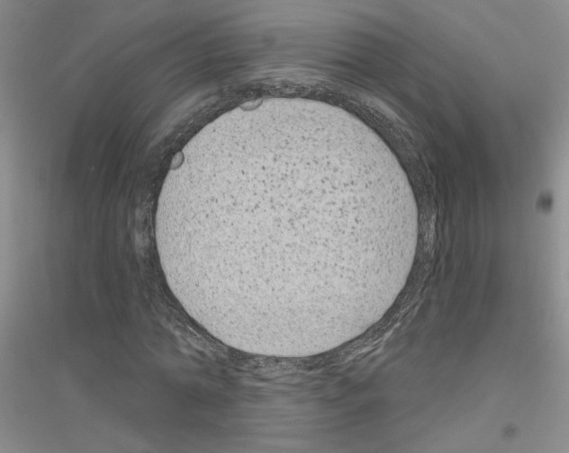 X0000116870774201002021126