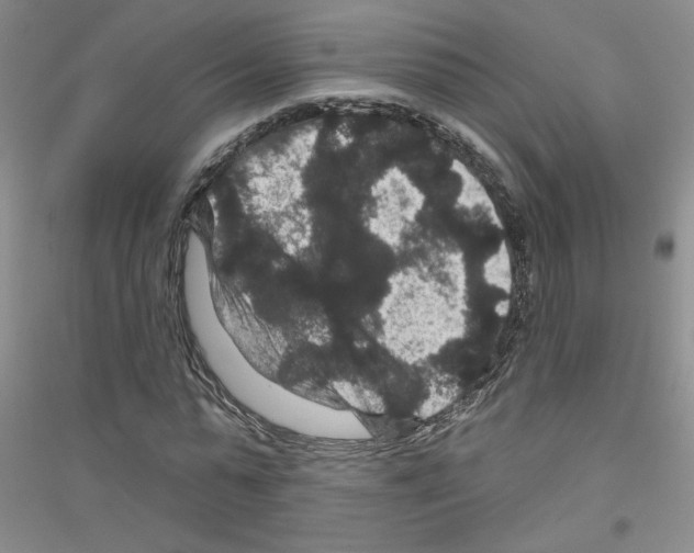 X0000116870775201002021126