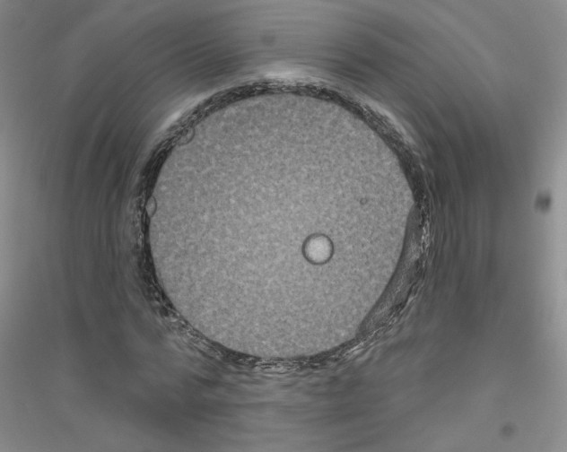 X0000116870776201002021126