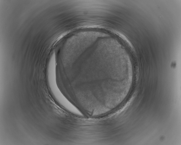 X0000116870777201002021126