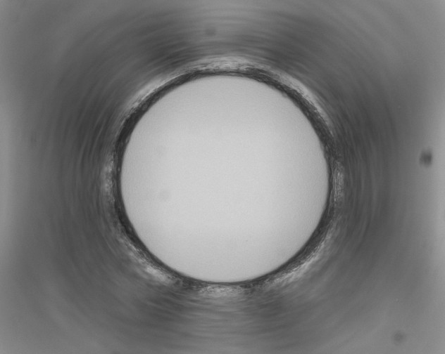 X0000116870778201002021126