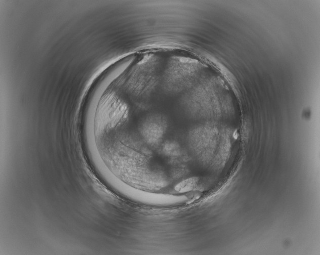 X0000116870779201002021126