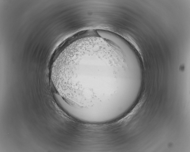 X0000116870781201002021126