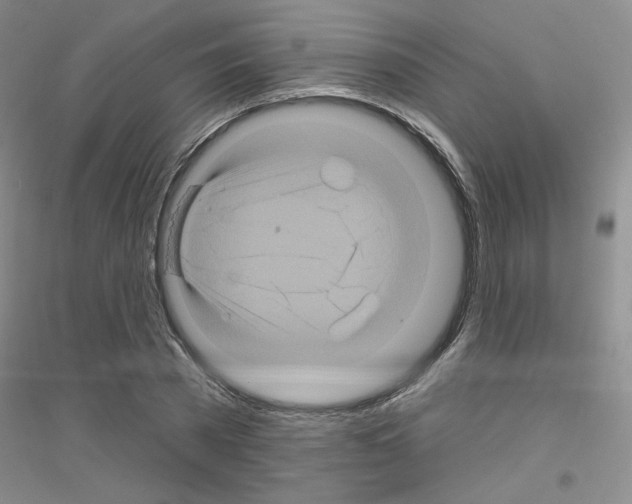 X0000116870785201002021126