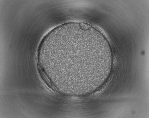 X0000116870787201002021126