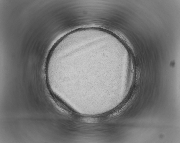 X0000116870789201002021126
