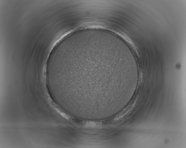 X0000116870790201002021126