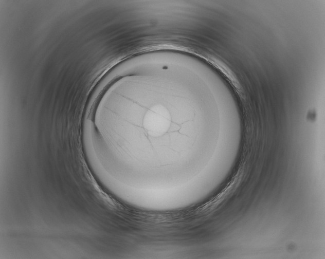 X0000116870793201002021126