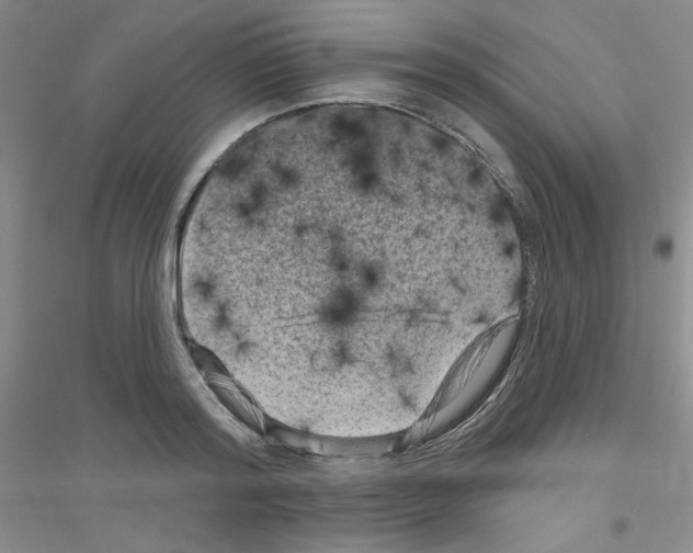 X0000116870796201002021126
