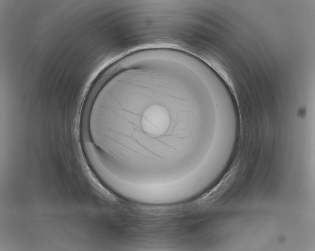 X0000116870797201002021126