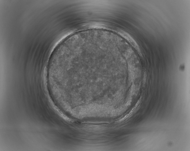 X0000116870798201002021126