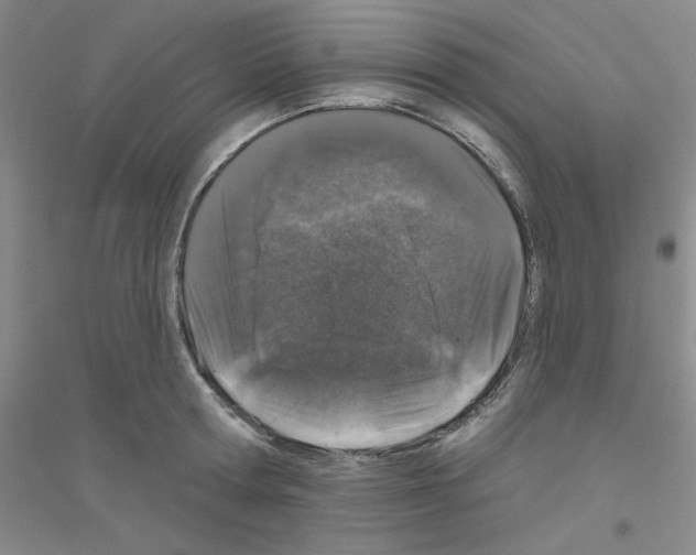 X0000116870802201002021126