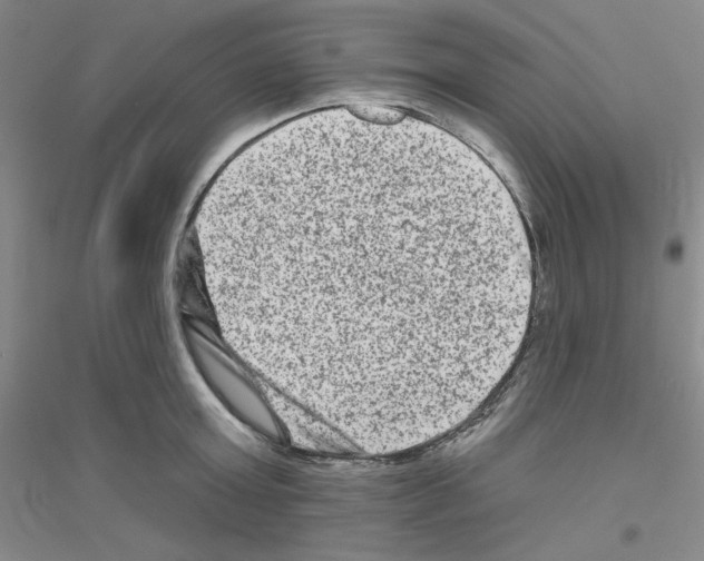 X0000116870803201002021126