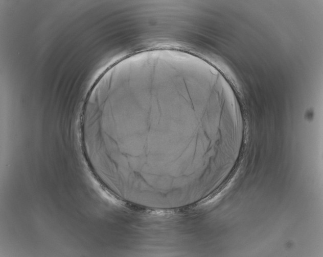 X0000116870806201002021126